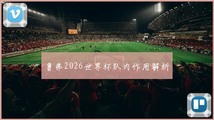 鲁弗2026世界杯队内作用解析
