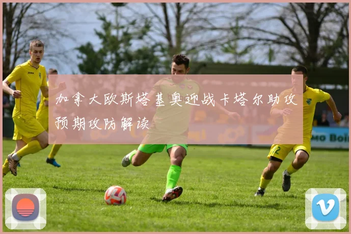 加拿大欧斯塔基奥迎战卡塔尔助攻预期攻防解读