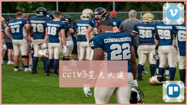 cctv3星光大道