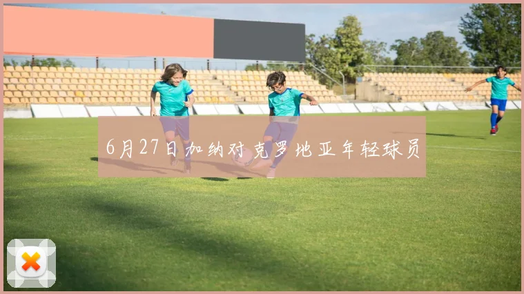 6月27日加纳对克罗地亚年轻球员