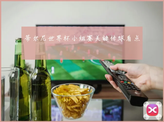 蒂尔尼世界杯小组赛关键传球看点