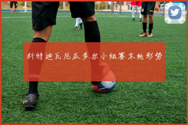 科特迪瓦厄瓜多尔小组赛末轮形势