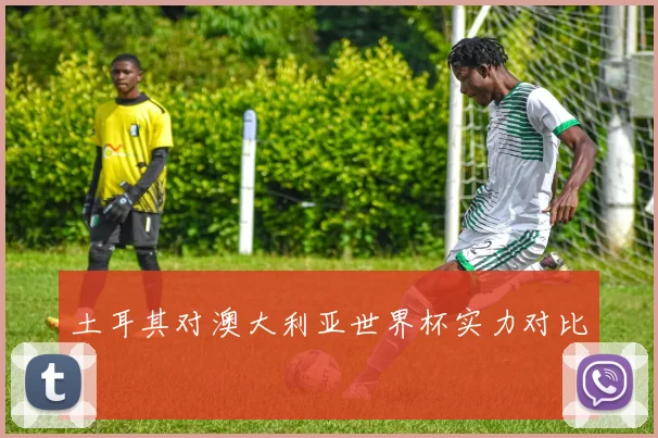 土耳其对澳大利亚世界杯实力对比