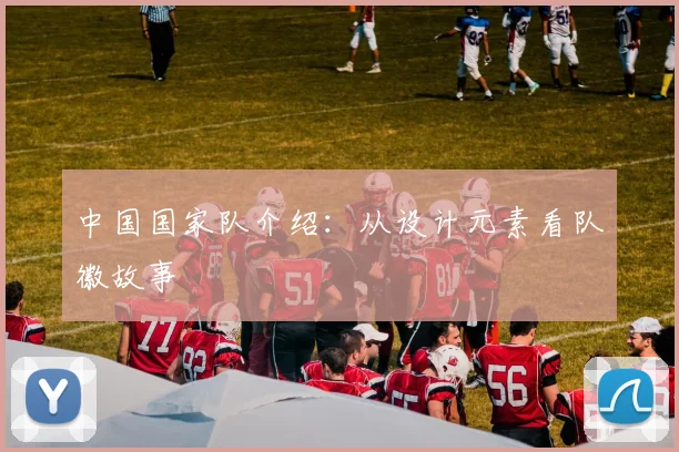 中国国家队介绍：从设计元素看队徽故事