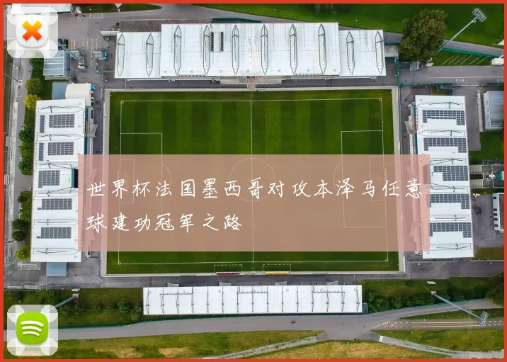 世界杯法国墨西哥对攻本泽马任意球建功冠军之路