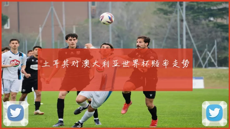 土耳其对澳大利亚世界杯赔率走势