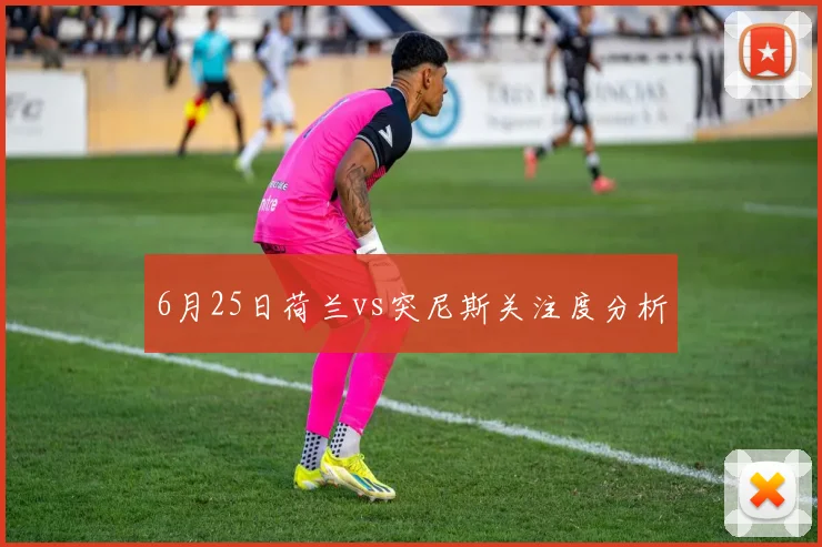6月25日荷兰vs突尼斯关注度分析