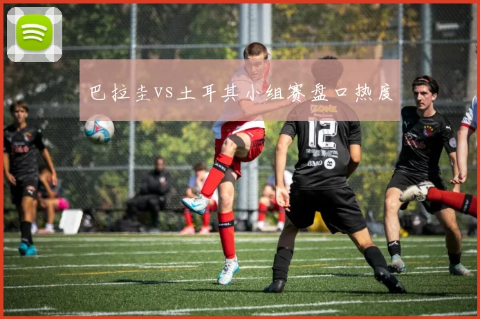 巴拉圭vs土耳其小组赛盘口热度
