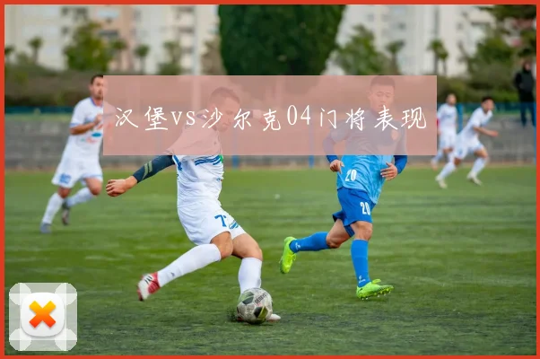 汉堡vs沙尔克04门将表现