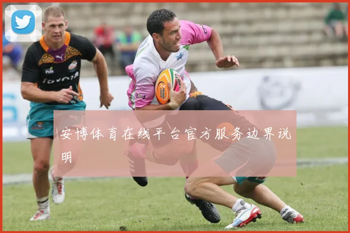 安博体育在线平台官方服务边界说明